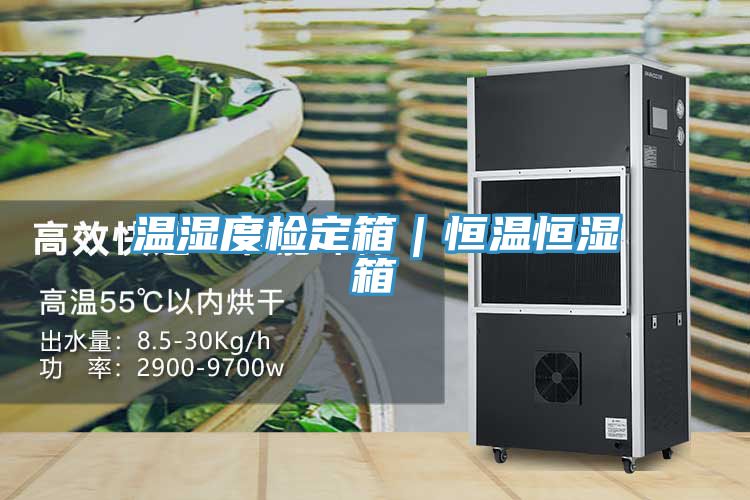 温湿度检定箱|恒温恒湿箱