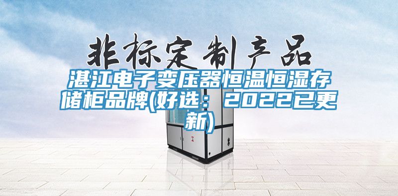 湛江电子变压器恒温恒湿存储柜品牌(好选：2022已更新)