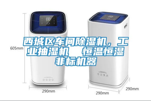 西城区车间粉色应用黄色软件，工业抽湿机  恒温恒湿非标机器
