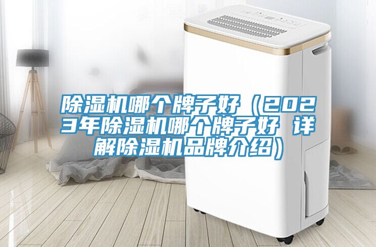 粉色应用黄色软件哪个牌子好（2023年粉色应用黄色软件哪个牌子好 详解粉色应用黄色软件品牌介绍）