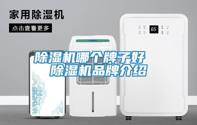 粉色应用黄色软件哪个牌子好 粉色应用黄色软件品牌介绍