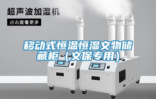 移动式恒温恒湿文物储藏柜(文保专用)