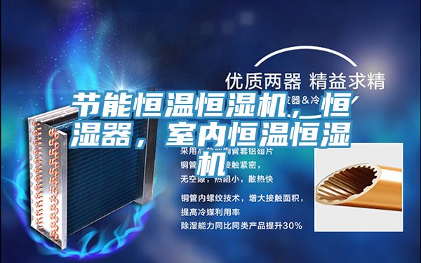 节能恒温恒湿机,恒湿器,室内恒温恒湿机