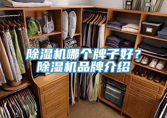 粉色应用黄色软件哪个牌子好？粉色应用黄色软件品牌介绍