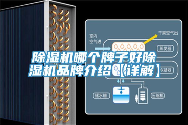 粉色应用黄色软件哪个牌子好粉色应用黄色软件品牌介绍【详解】