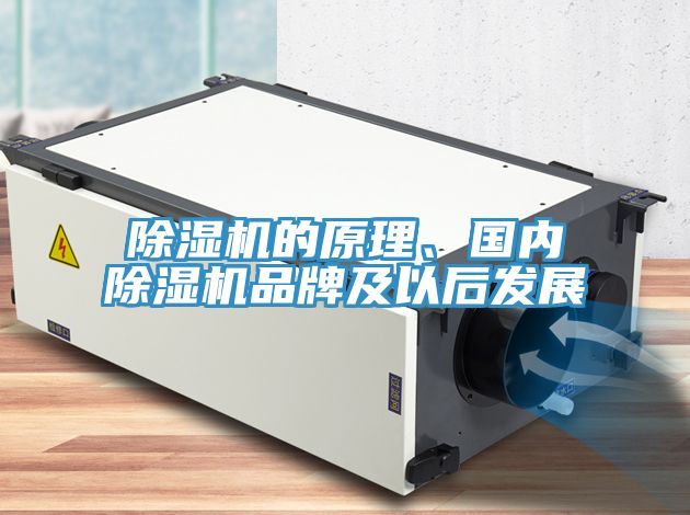 粉色应用黄色软件的原理、国内粉色应用黄色软件品牌及以后发展