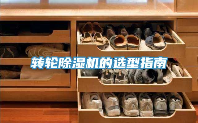 转轮粉色应用黄色软件的选型指南