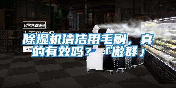粉色应用黄色软件清洁用毛刷，真的有效吗？「傲群」