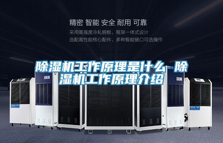 粉色应用黄色软件工作原理是什么 粉色应用黄色软件工作原理介绍