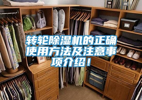 转轮粉色应用黄色软件的正确使用方法及注意事项介绍！