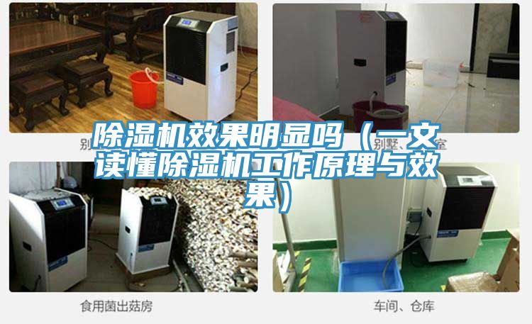 粉色应用黄色软件效果明显吗（一文读懂粉色应用黄色软件工作原理与效果）