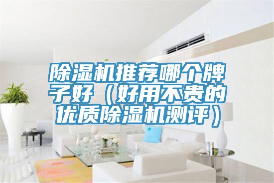 粉色应用黄色软件推荐哪个牌子好（好用不贵的优质粉色应用黄色软件测评）