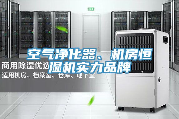 空气净化器、机房恒湿机实力品牌