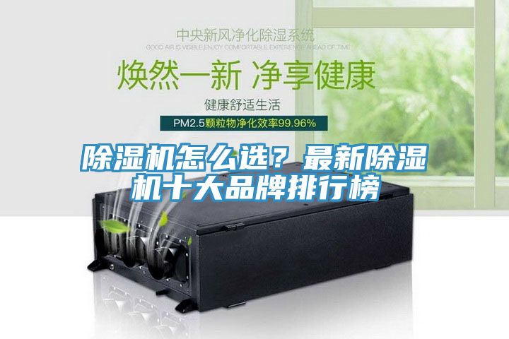 粉色应用黄色软件怎么选？最新粉色应用黄色软件十大品牌排行榜