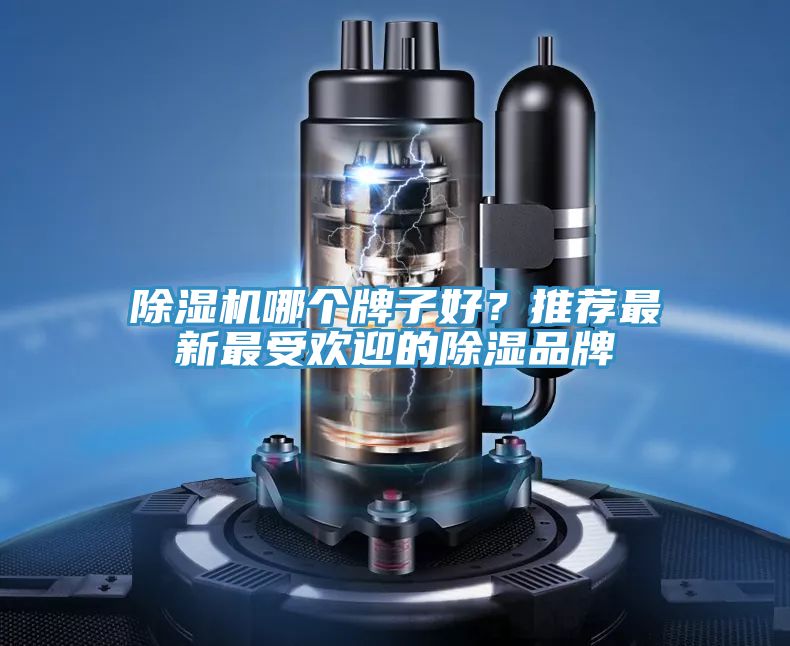 粉色应用黄色软件哪个牌子好？推荐最新最受欢迎的除湿品牌