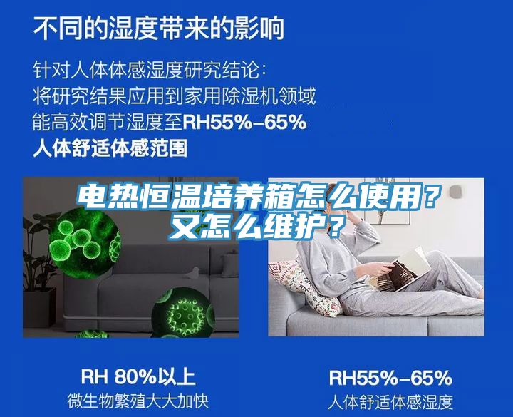 电热恒温培养箱怎么使用？又怎么维护？