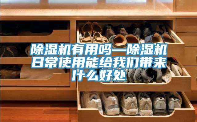 粉色应用黄色软件有用吗—粉色应用黄色软件日常使用能给粉色视频污下载带来什么好处