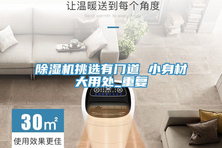 粉色应用黄色软件挑选有门道 小身材大用处_重复