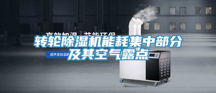 转轮粉色应用黄色软件能耗集中部分及其空气露点