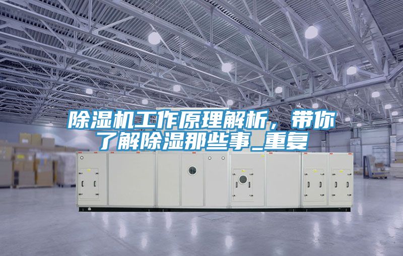 粉色应用黄色软件工作原理解析，带你了解除湿那些事_重复