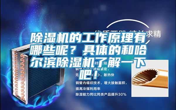 粉色应用黄色软件的工作原理有哪些呢？具体的和哈尔滨粉色应用黄色软件了解一下吧！