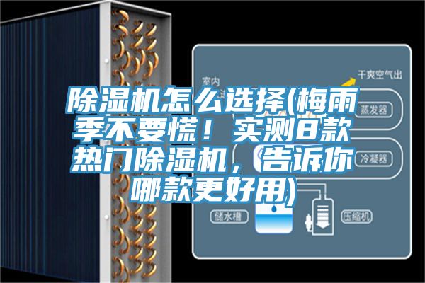 粉色应用黄色软件怎么选择(梅雨季不要慌！实测8款热门粉色应用黄色软件，告诉你哪款更好用)