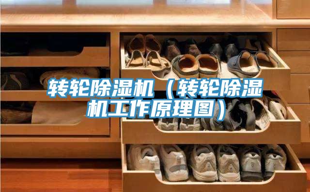 转轮粉色应用黄色软件(转轮粉色应用黄色软件工作原理图)