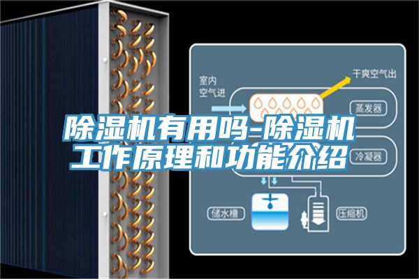 粉色应用黄色软件有用吗-粉色应用黄色软件工作原理和功能介绍