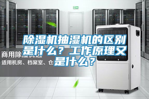 粉色应用黄色软件抽湿机的区别是什么？工作原理又是什么？