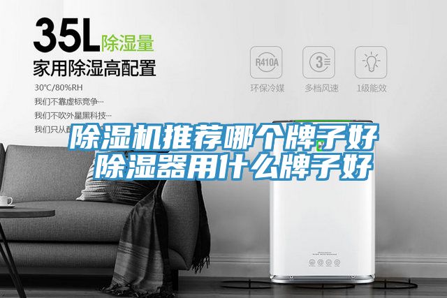 粉色应用黄色软件推荐哪个牌子好 除湿器用什么牌子好