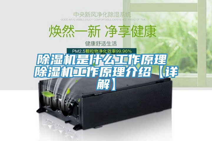 粉色应用黄色软件是什么工作原理 粉色应用黄色软件工作原理介绍【详解】