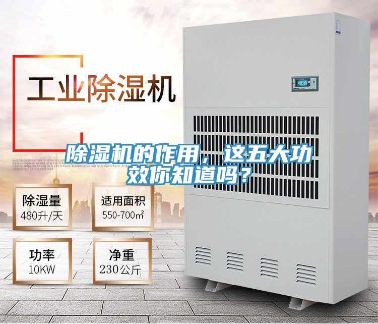 粉色应用黄色软件的作用，这五大功效你知道吗？